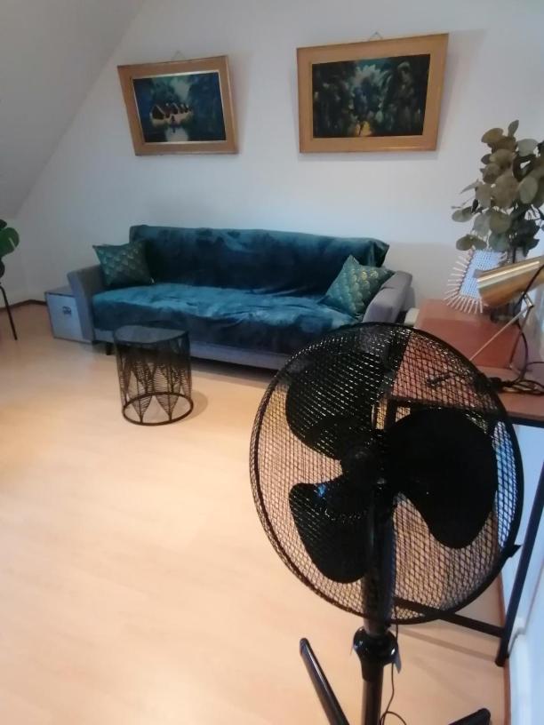 Chez Carine Leilighet Schiltigheim Eksteriør bilde