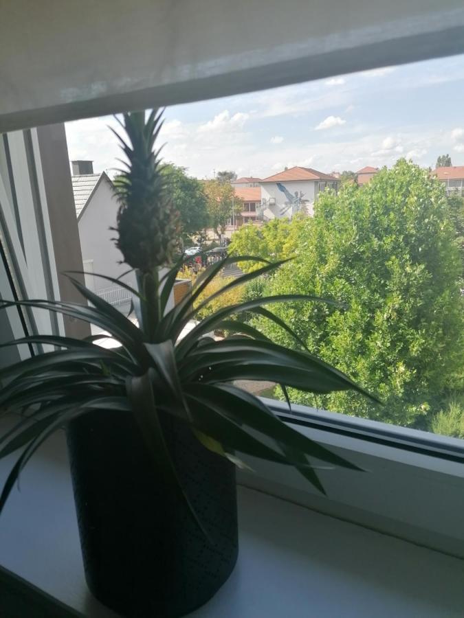 Chez Carine Leilighet Schiltigheim Eksteriør bilde